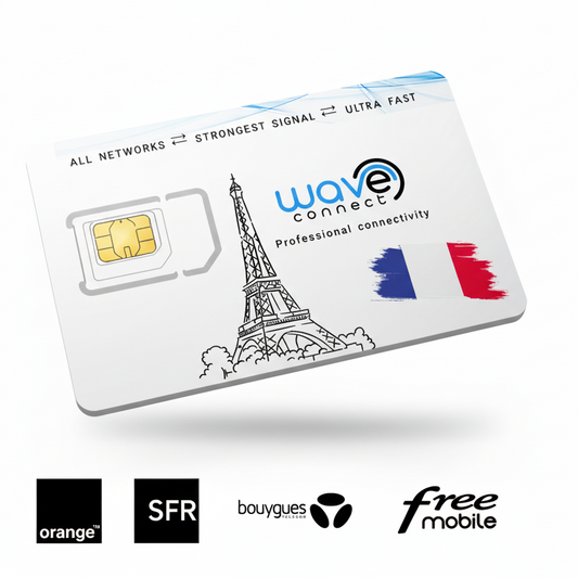 SIM card with 'Wave Connect' branding and Eiffel Tower illustration on a white background